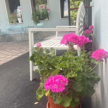 L'approdo Cesenatico