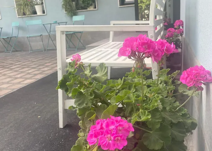 L'approdo Cesenatico