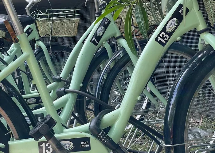 L'approdo تْشيزيناتيكو